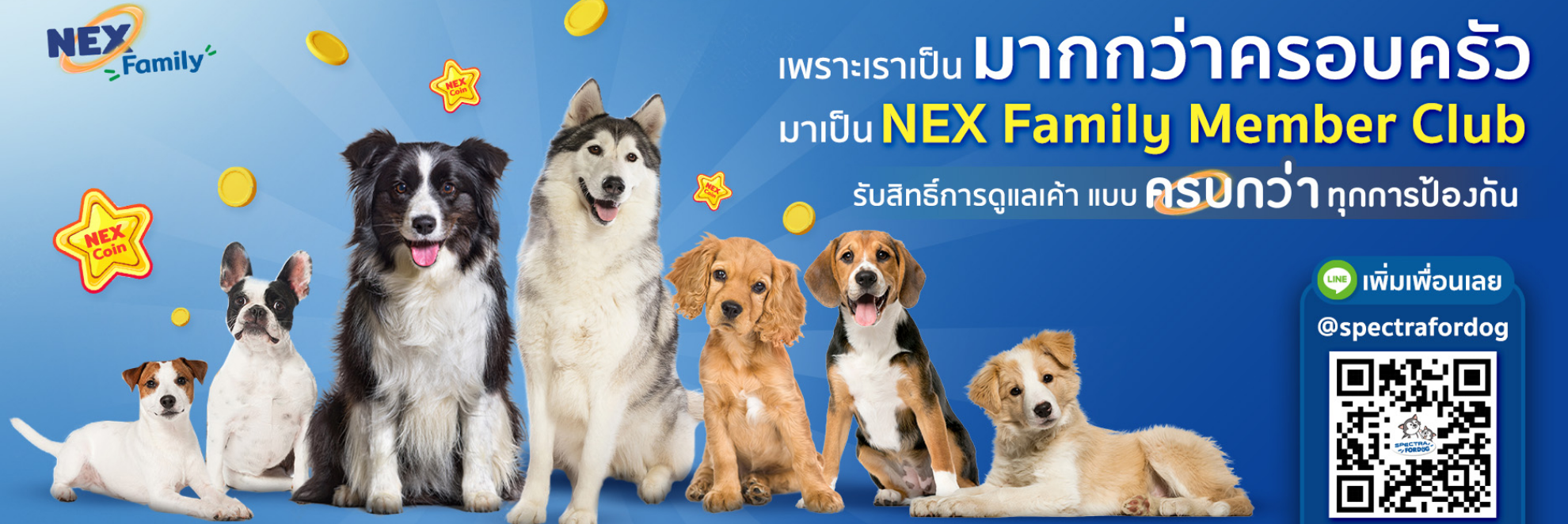 NexFamily