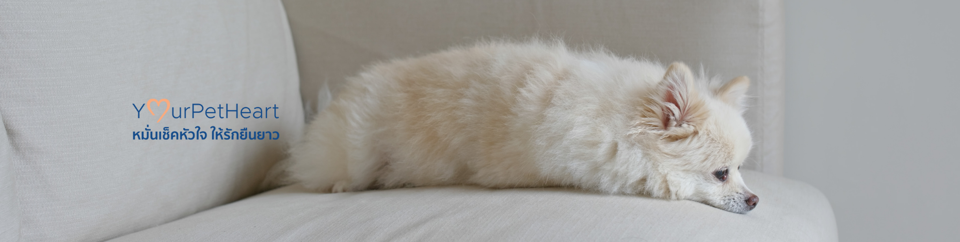 Long form head banner Desktop 1980x500.png