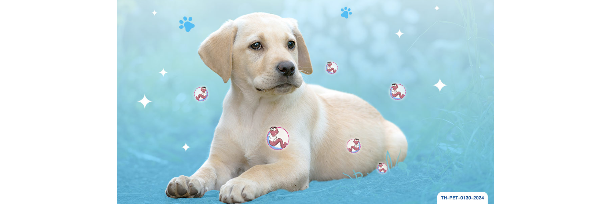 พยาธิหลอดอาหาร