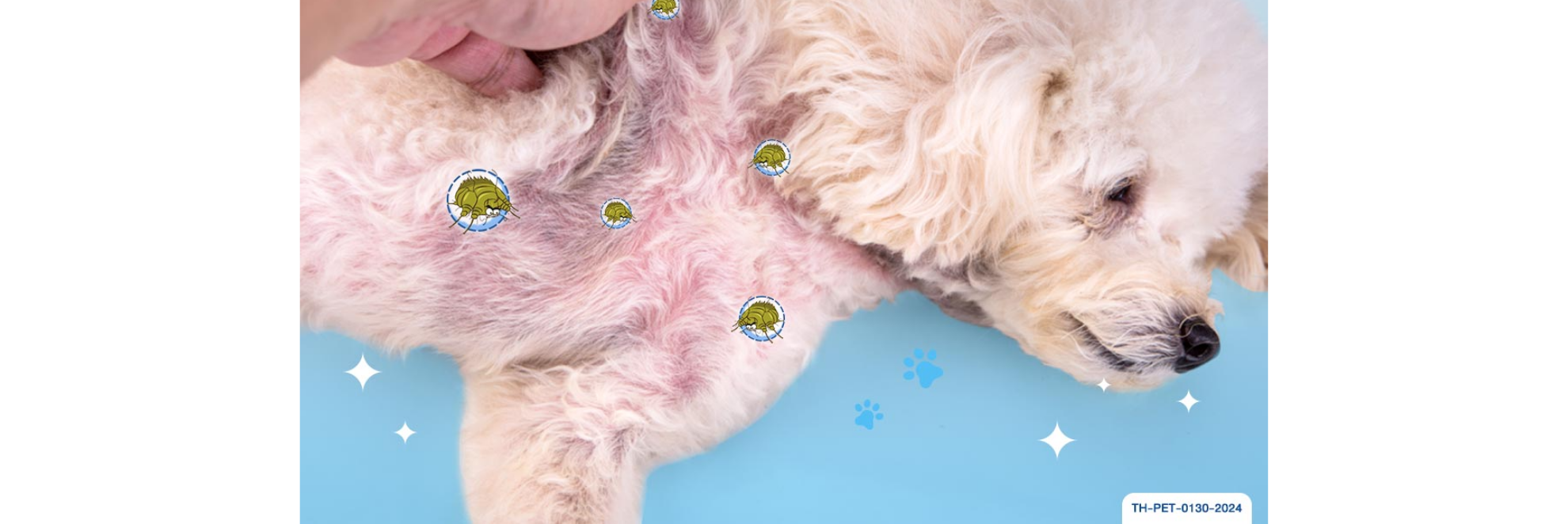 ไรขี้เรื้อนแห้ง