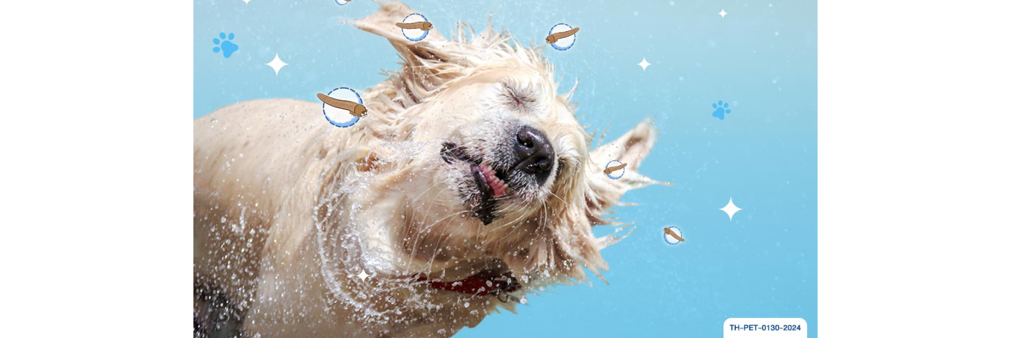 ไรขี้เรื้อนเปียก