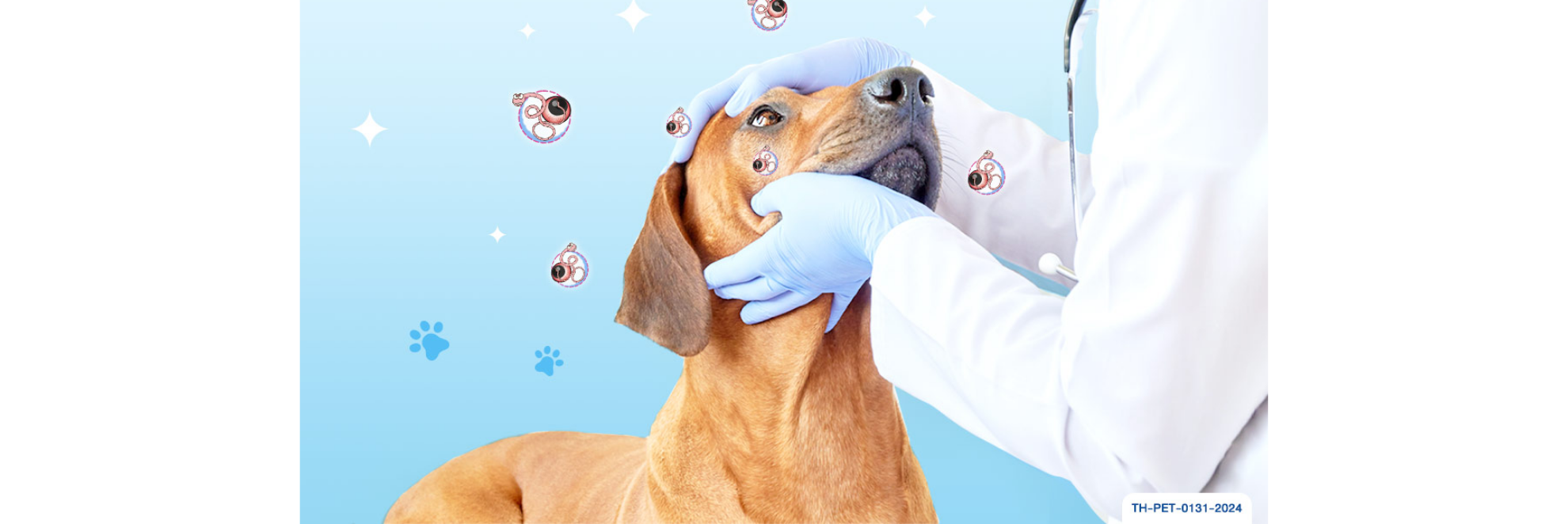 พยาธิตา