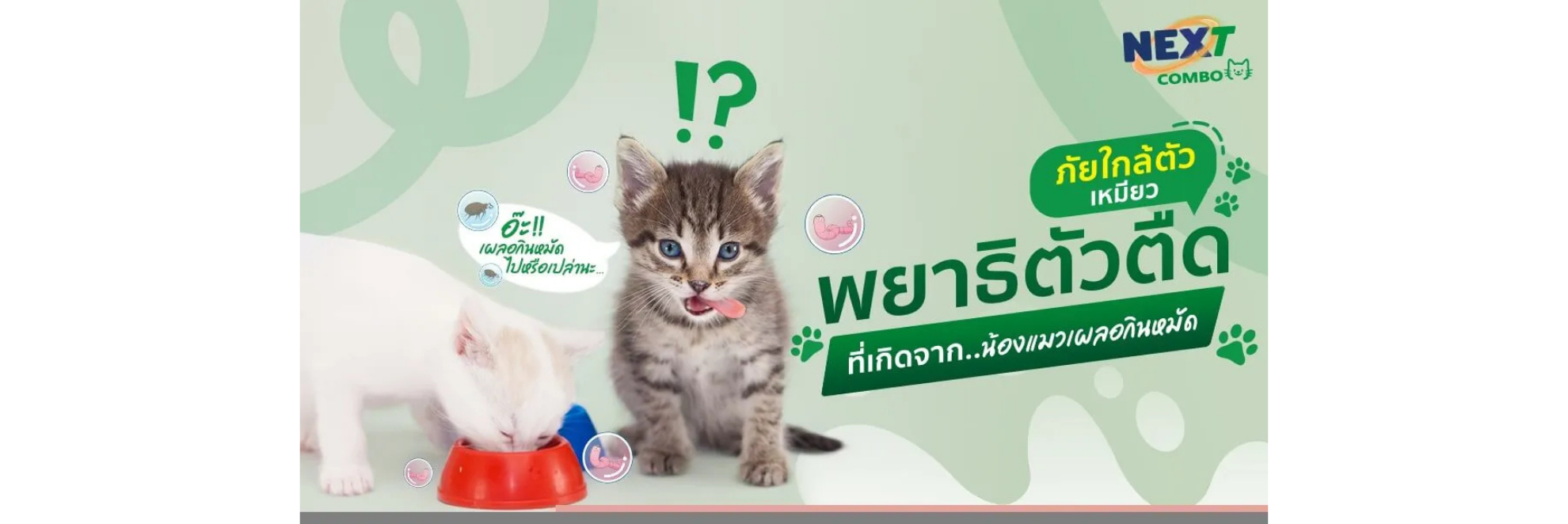 พยาธิตัวตืด