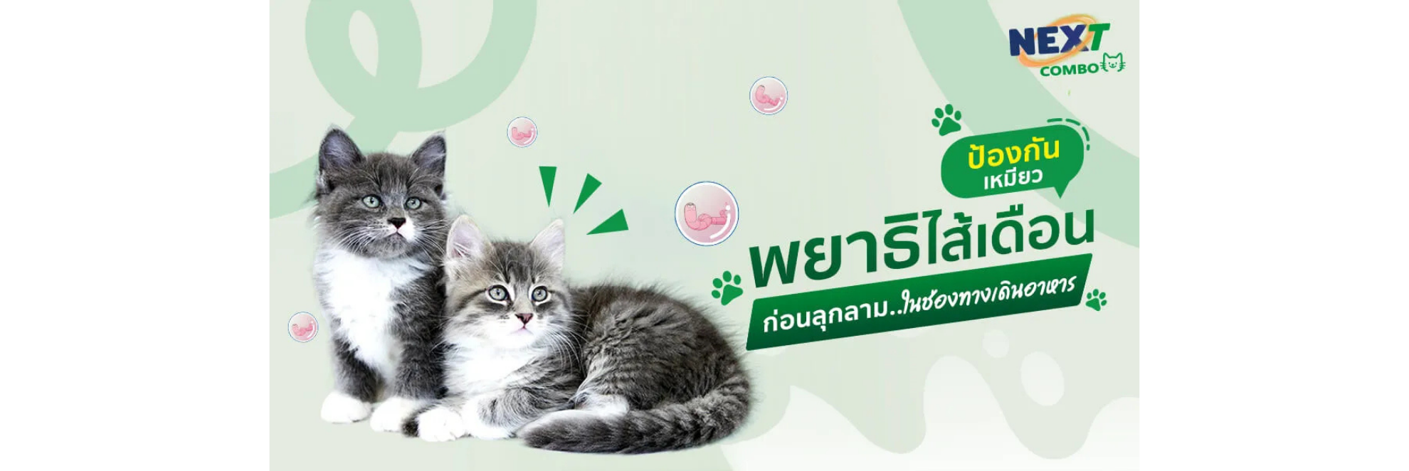 พยาธิไส้เดือน