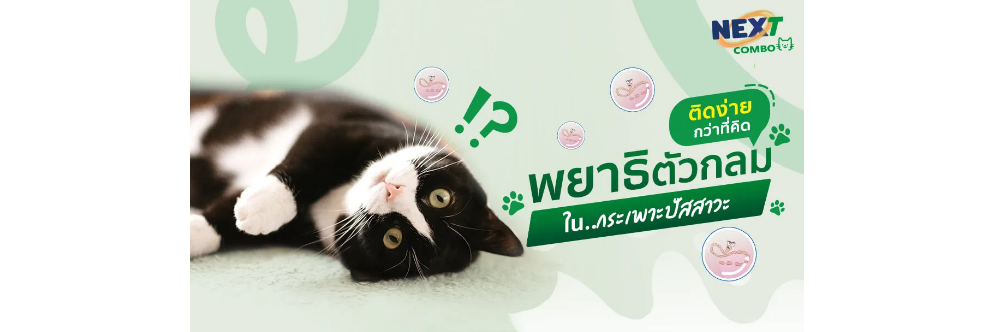 พยาธิตัวกลม