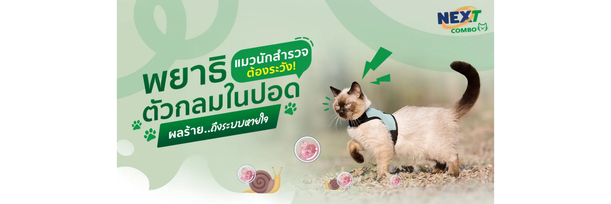 พยาธิในปอด