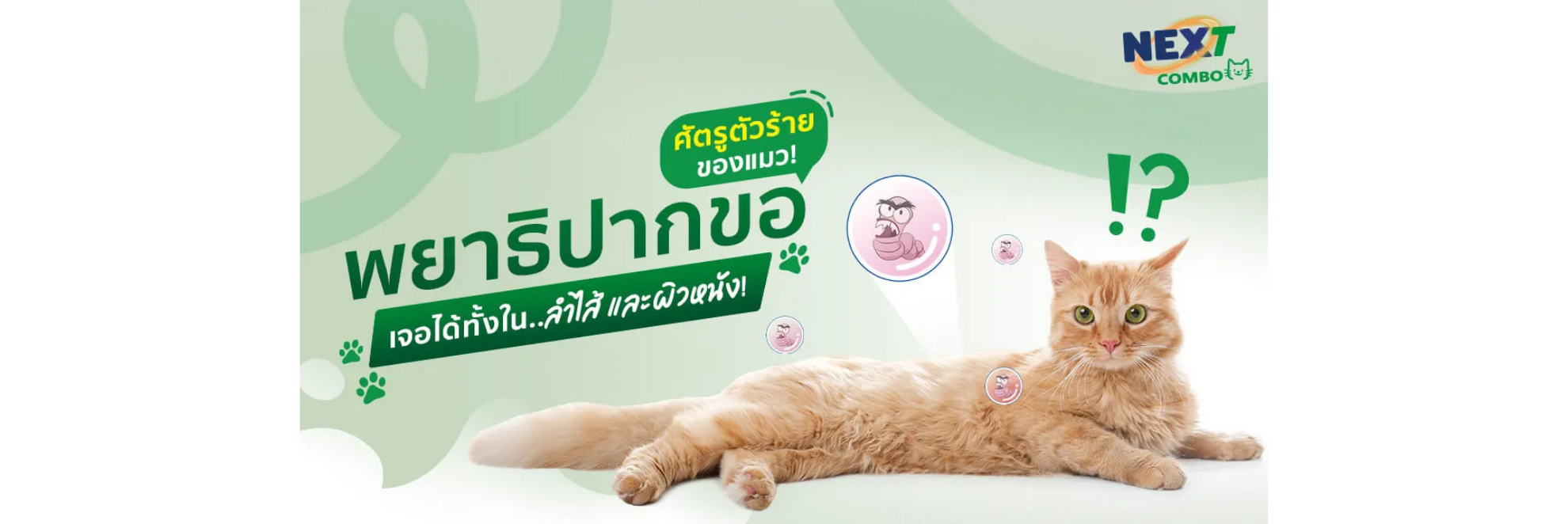 พยาธิปากขอ