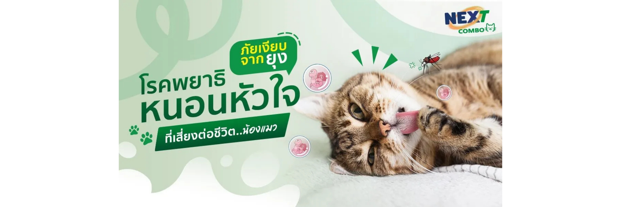 พยาธิหนอนหัวใจ