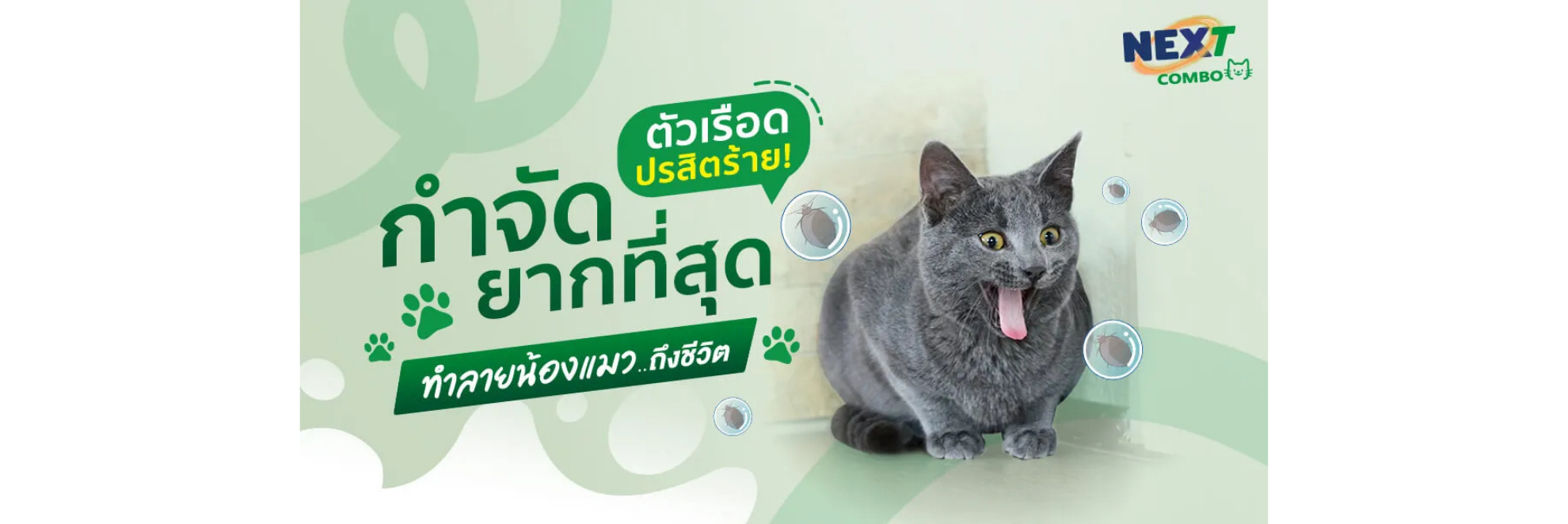 ตัวเรือด