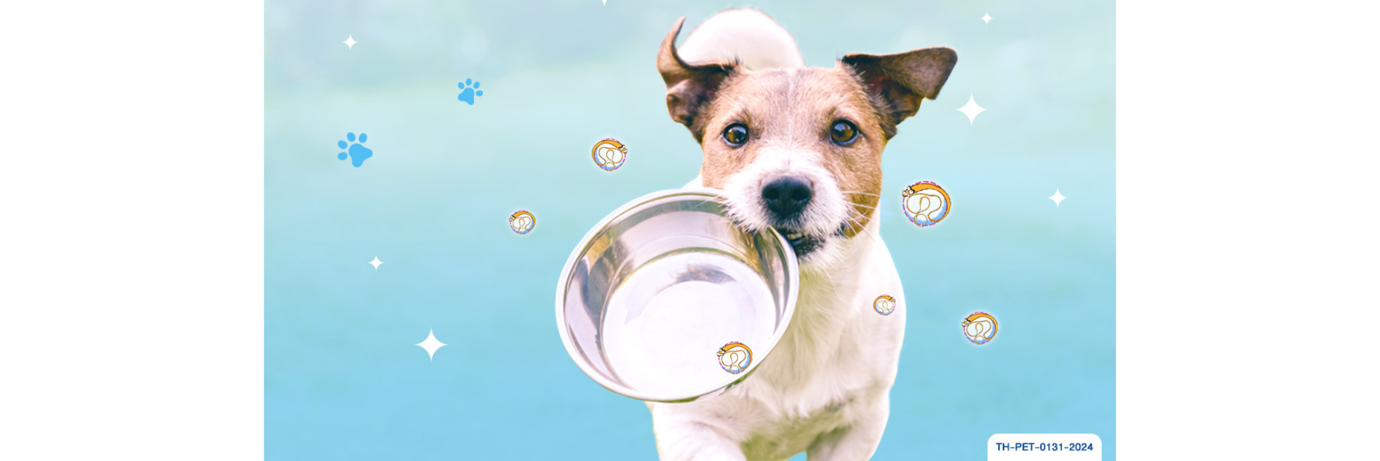 พยาธิแส้ม้า