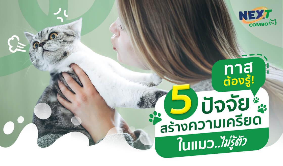 ทาสต้องรู้! 5 ปัจจัยสร้างความเครียดในแมวแบบไม่รู้ตัว