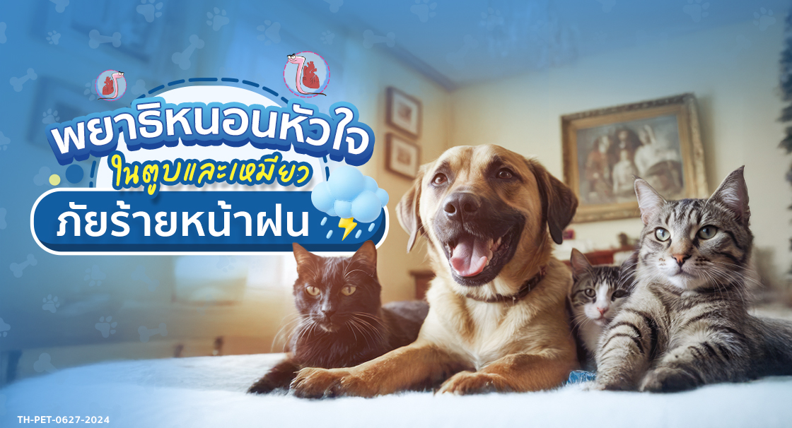 หนอนหัวใจ