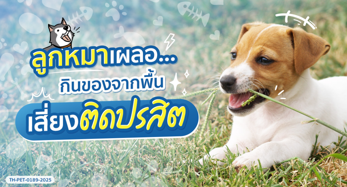 spectra_cover long form ลูกหมาเผลอกินของจากพื้น เสี่ยงติดปรสิต_fn.jpg