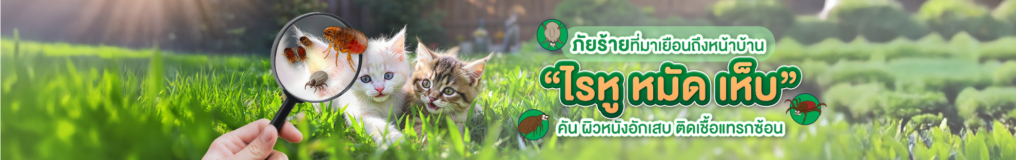 NextCheck Long banner_Tick flea mite​ ไรหู หมัด เห็บ-NextCOMBOCAT- NextCheck เช็กความเสี่ยงปรสิต​​