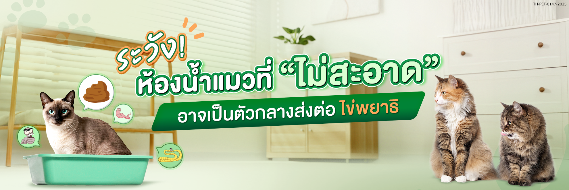 AW_NGC_1980x662_ระวังห้องน้ำแมวที่ไม่สะอาด.png