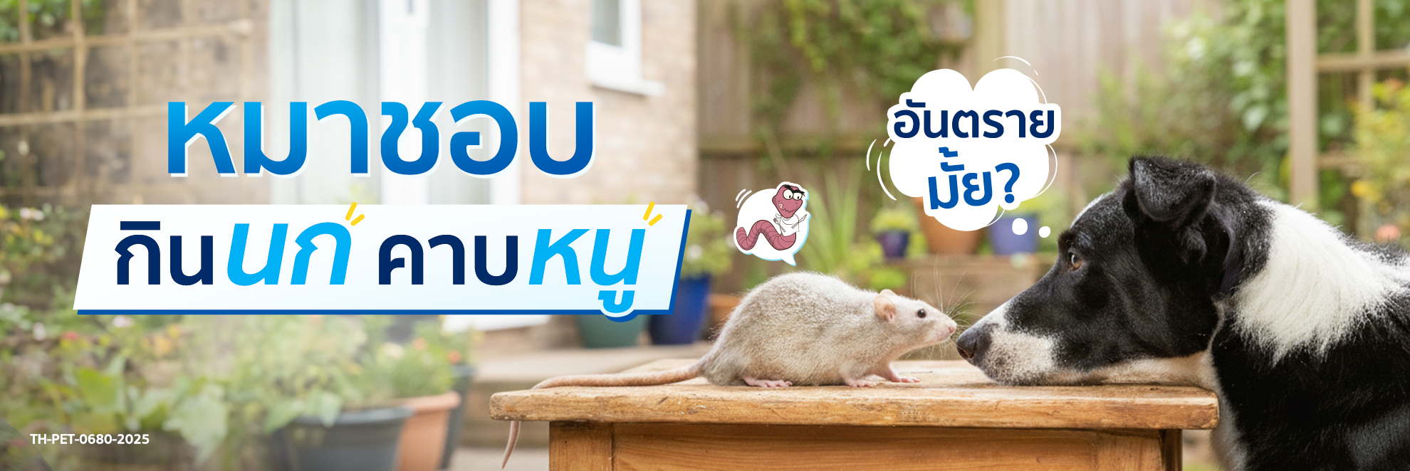 Spectra_pic Cover Long Form หมาชอบ กินนก คาบหนู_1980x662 1.png