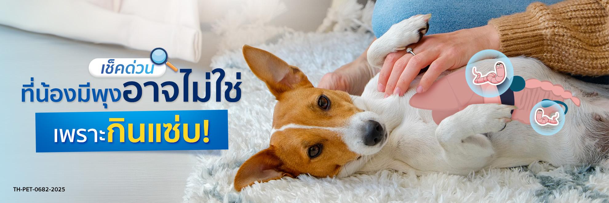 pic Cover Long Form เช็กด่วน!_ ที่น้องมีพุงอาจไม่ใช่เพราะกินแซ่บ_1980x662_FN.jpg