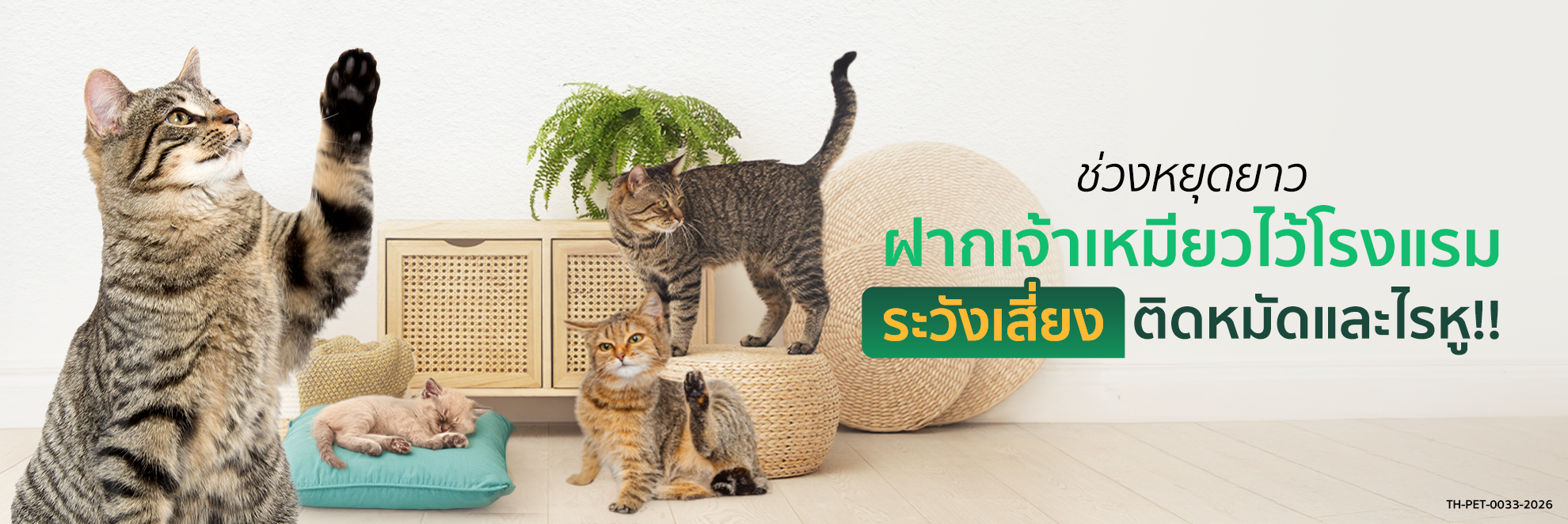 OD Cat_pic Long Form ช่วงหยุดยาว ฝากเจ้าเหมียวไว้โรงแรม_1980x662.png