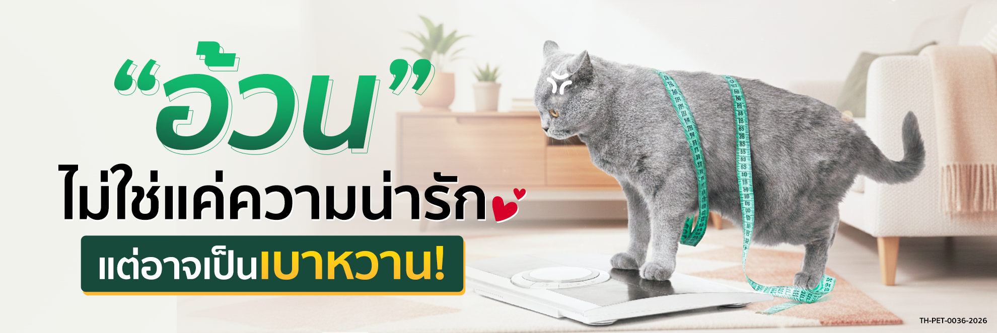 OD Cat_pic Long Form อ้วนไม่ใช่แค่ความน่ารัก _แต่อาจเป็นเบาหวาน_1980x662.png
