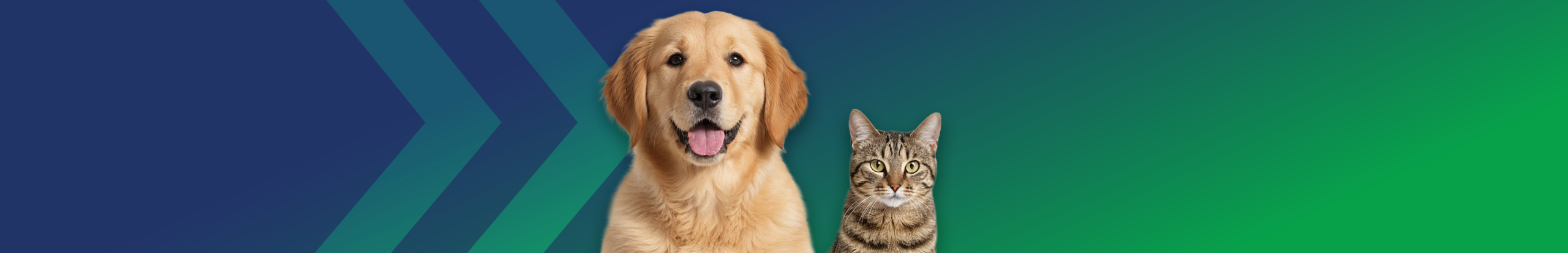 One And Done Nexgard