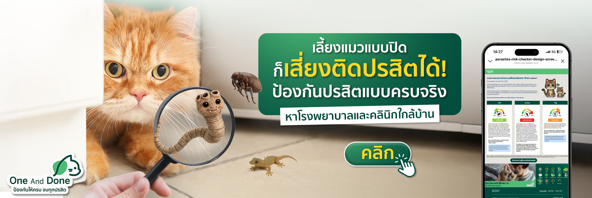 cat banner