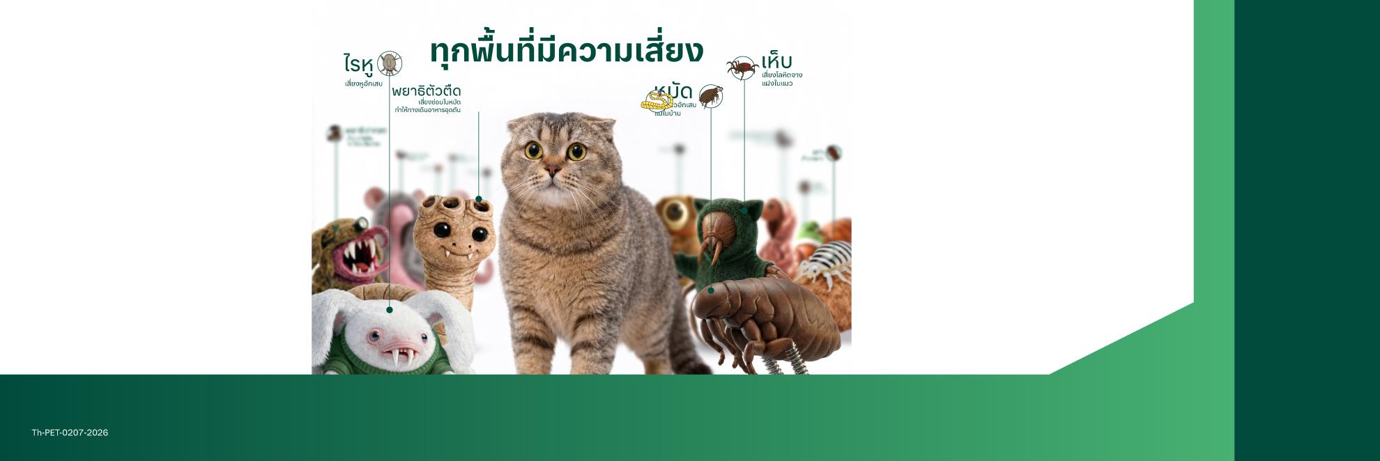 cat page 1 bn