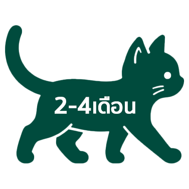 P03-3