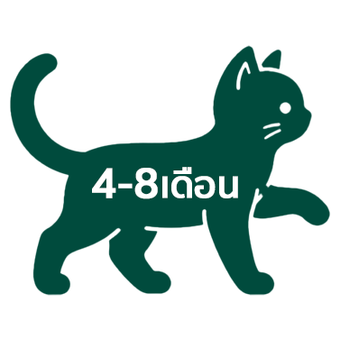 P03-4
