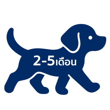 Puppy icon 3