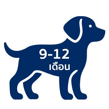 Puppy icon 5