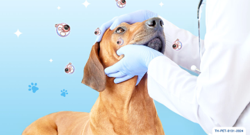 11 พยาธิตา (eye worms)_article (1).jpg