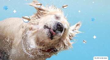 ไรขี้เรื้อนเปียก (Demodex Mites)