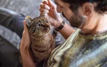 ​น้องเเมว-NextCOMBOCat-เช็กความเสี่ยง​