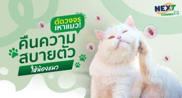 img-article1 (1).jpg