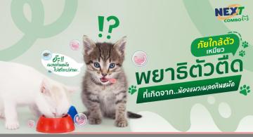 img-article2 (1).jpg