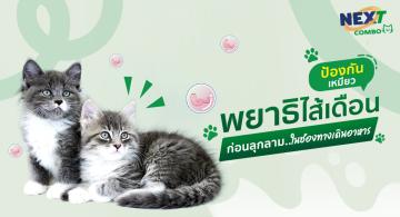 img-article3 (1).jpg