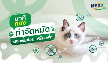 img-article4 (3).jpg