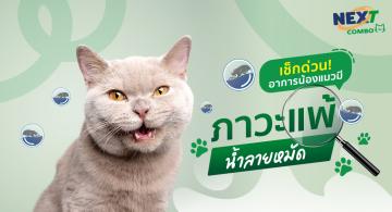 img-article5 (1).jpg