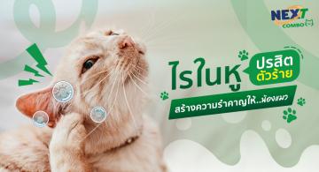 img-article6 (1).jpg