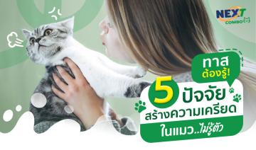 ทาสต้องรู้! 5 ปัจจัยสร้างความเครียดในแมวแบบไม่รู้ตัว