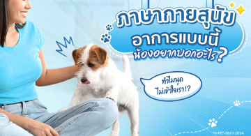 spectra_article-ภาษากายสุนัข-อาการแบบนี้-น้องอยากบอกอะไร_aw.jpg