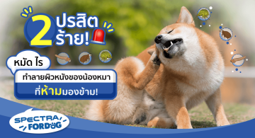 2_parasitic_skin_disease