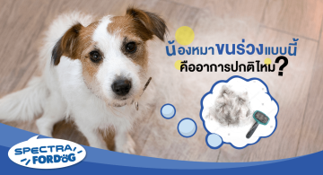 1_08_Full width image