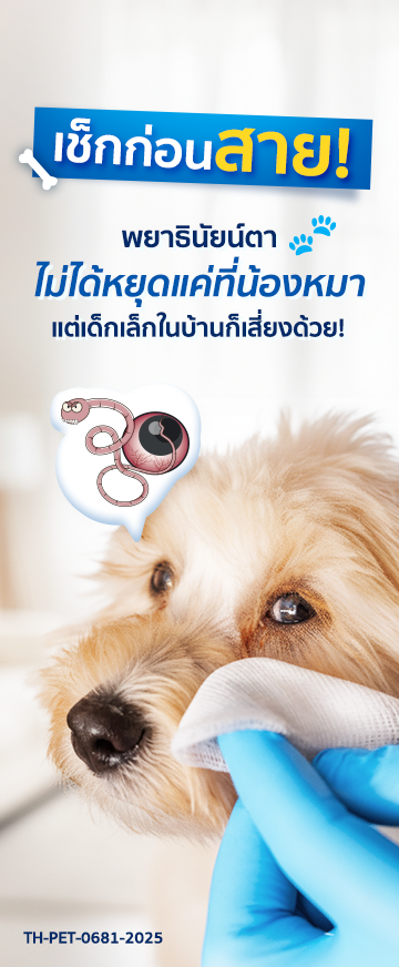 Spectra_pic Cover Long Form เช็กก่อนสาย! พยาธินัยน์ตา_360x872 1.png