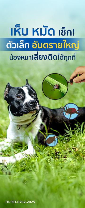 pic Cover Long Form เห็บ หมัดเช็ก! ตัวเล็ก อันตรายใหญ่_360x872_FN.jpg