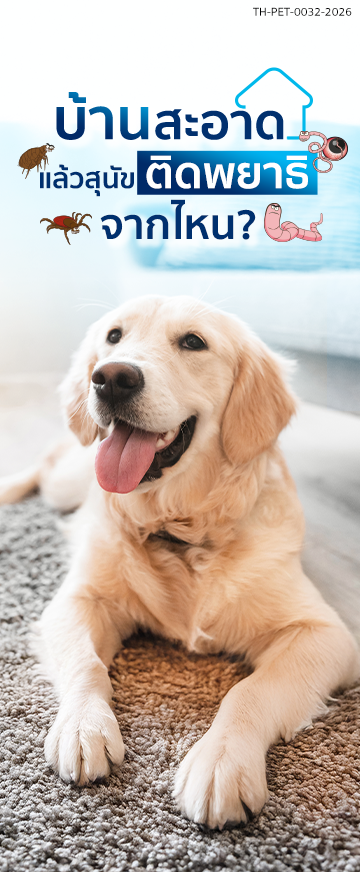 Cover Longform_Nexgard_[360x872]_บ้านสะอาดแล้วสุนัขติดพยาธิจากไหน 2.png