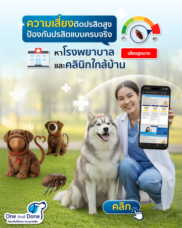 banner dogmb