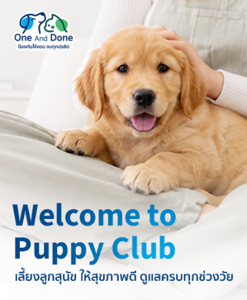 Puppy_Cover_Phone