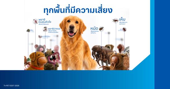 resize-kv-cat-dog-web-แก้ไข.jpg (2