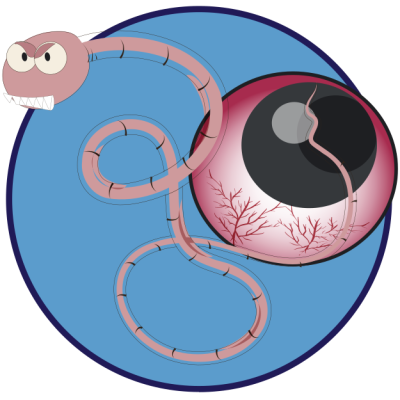 พยาธินัยน์ตา-น้องหมาคันตา-​  ตาอักเสบ-ตาบวม